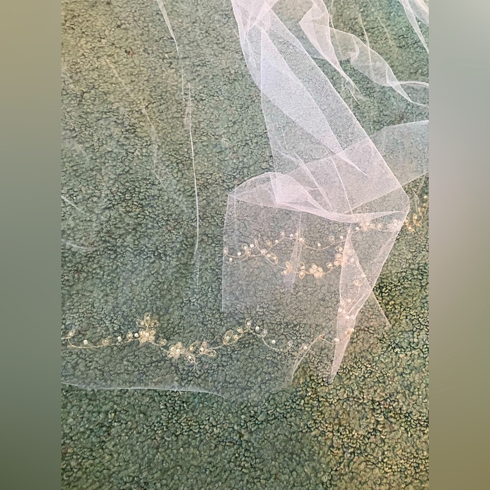 Cathedral veil with vine design